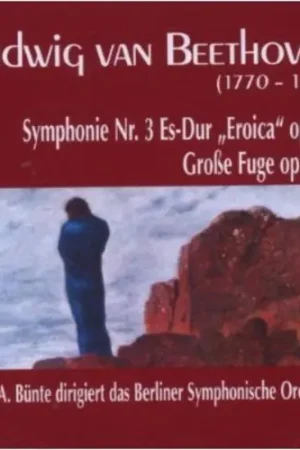 Affordable Symphony No 3