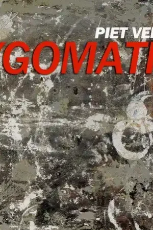 Next Day Delivery Zygomatik