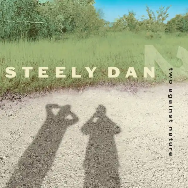 Seasonal Sale STEELY DAN - TWO AGAINST NATURE (2LP/CLEAR VINYL) (Vinyl LP)
