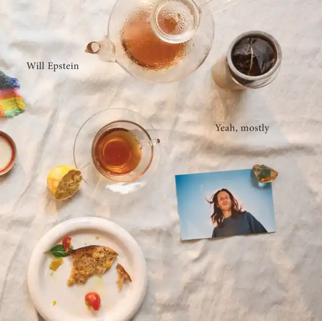 Genuine EPSTEIN,WILL - YEAH, MOSTLY (Vinyl LP)